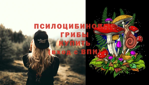 гидропоника Навашино