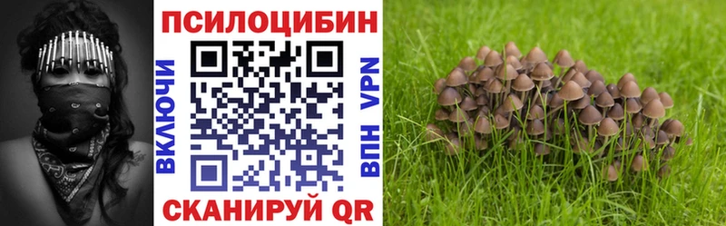 Купить  Звенигово  Галлюциногенные грибы ЛСД 